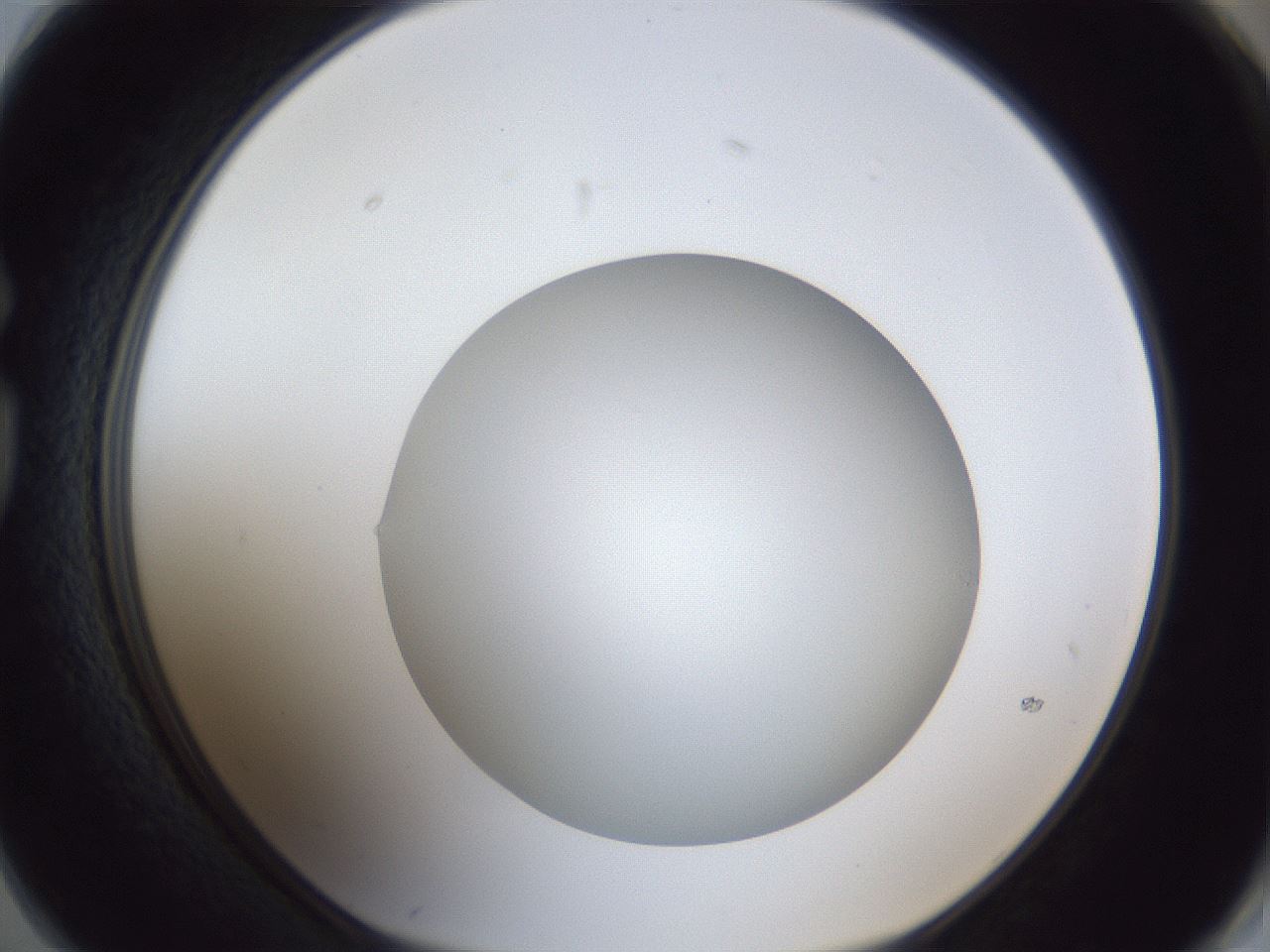 folderID32_plateID1032_batchID2002_wellNum74_profileID1_d1_r44662_ef.jpg