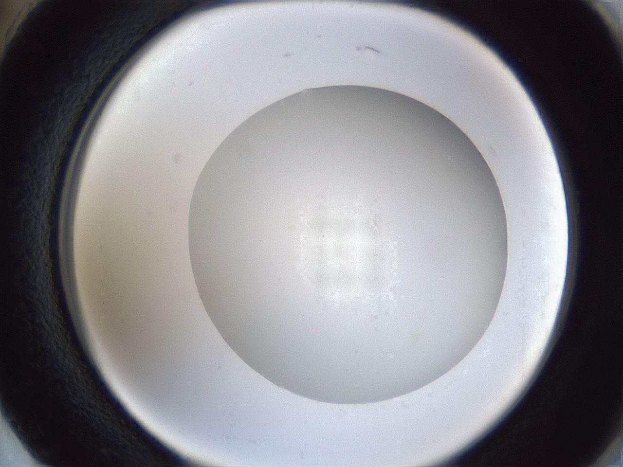 folderID32_plateID1032_batchID2002_wellNum74_profileID1_d2_r44663_ef.jpg
