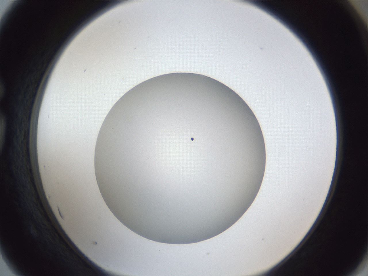 folderID32_plateID1032_batchID2002_wellNum75_profileID1_d1_r44664_ef.jpg