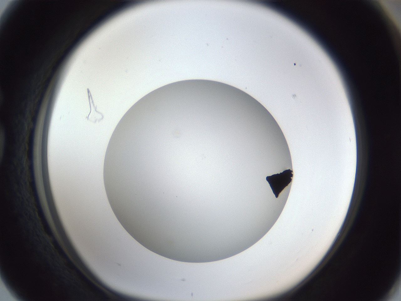 folderID32_plateID1032_batchID2002_wellNum76_profileID1_d1_r44666_ef.jpg