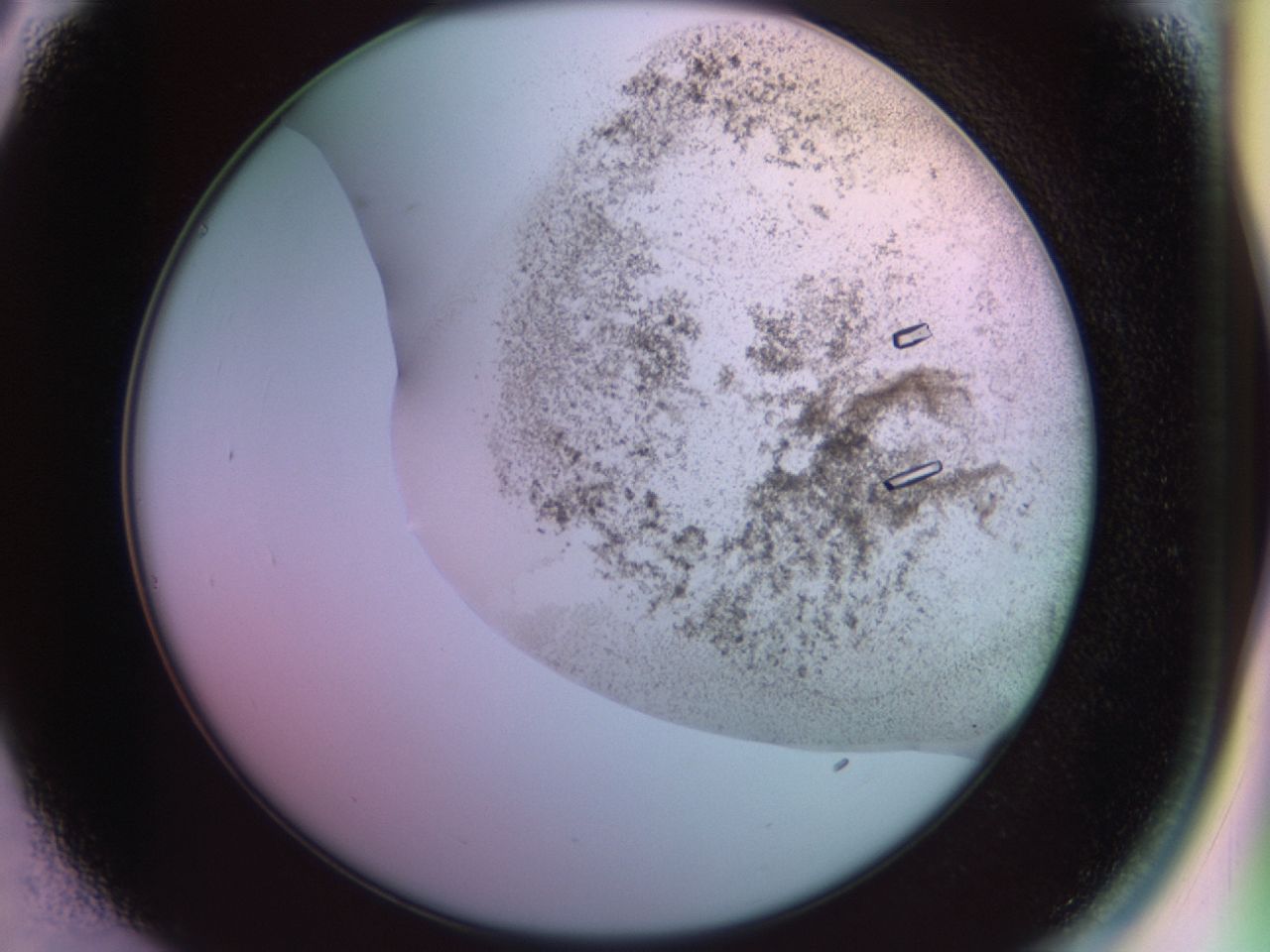 02kf_C3_ImagerDefaults_9.jpg