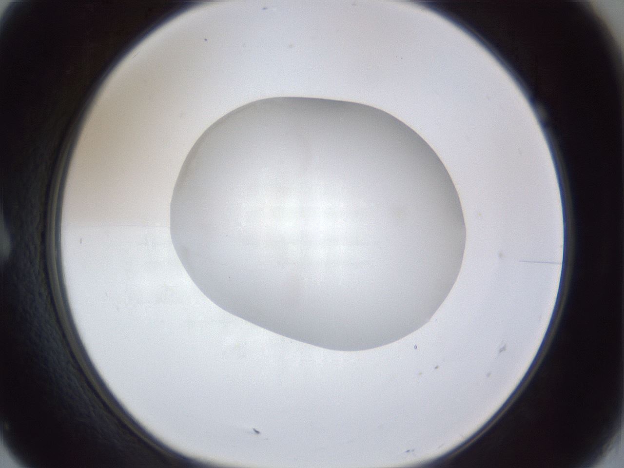 folderID32_plateID1032_batchID2002_wellNum7_profileID1_d1_r44528_ef.jpg