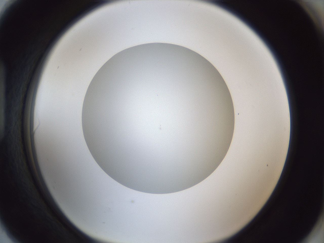 folderID32_plateID1032_batchID2002_wellNum90_profileID1_d1_r44694_ef.jpg
