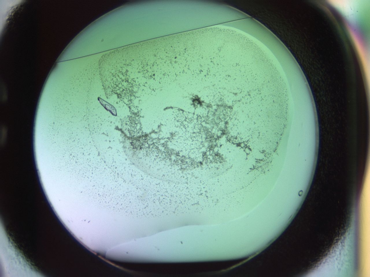 02kf_C2_ImagerDefaults_9.jpg