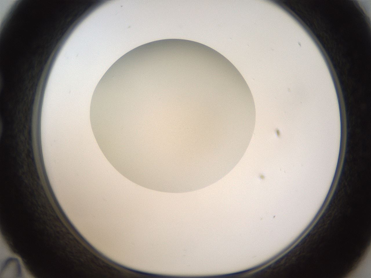 folderID330_plateID1330_batchID4525_wellNum35_profileID1_d1_r80202_ef.jpg