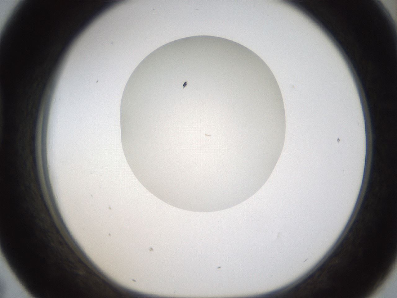 folderID330_plateID1330_batchID4525_wellNum43_profileID1_d1_r80210_ef.jpg