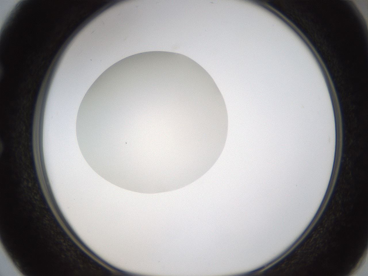 folderID330_plateID1330_batchID4525_wellNum50_profileID1_d1_r80217_ef.jpg