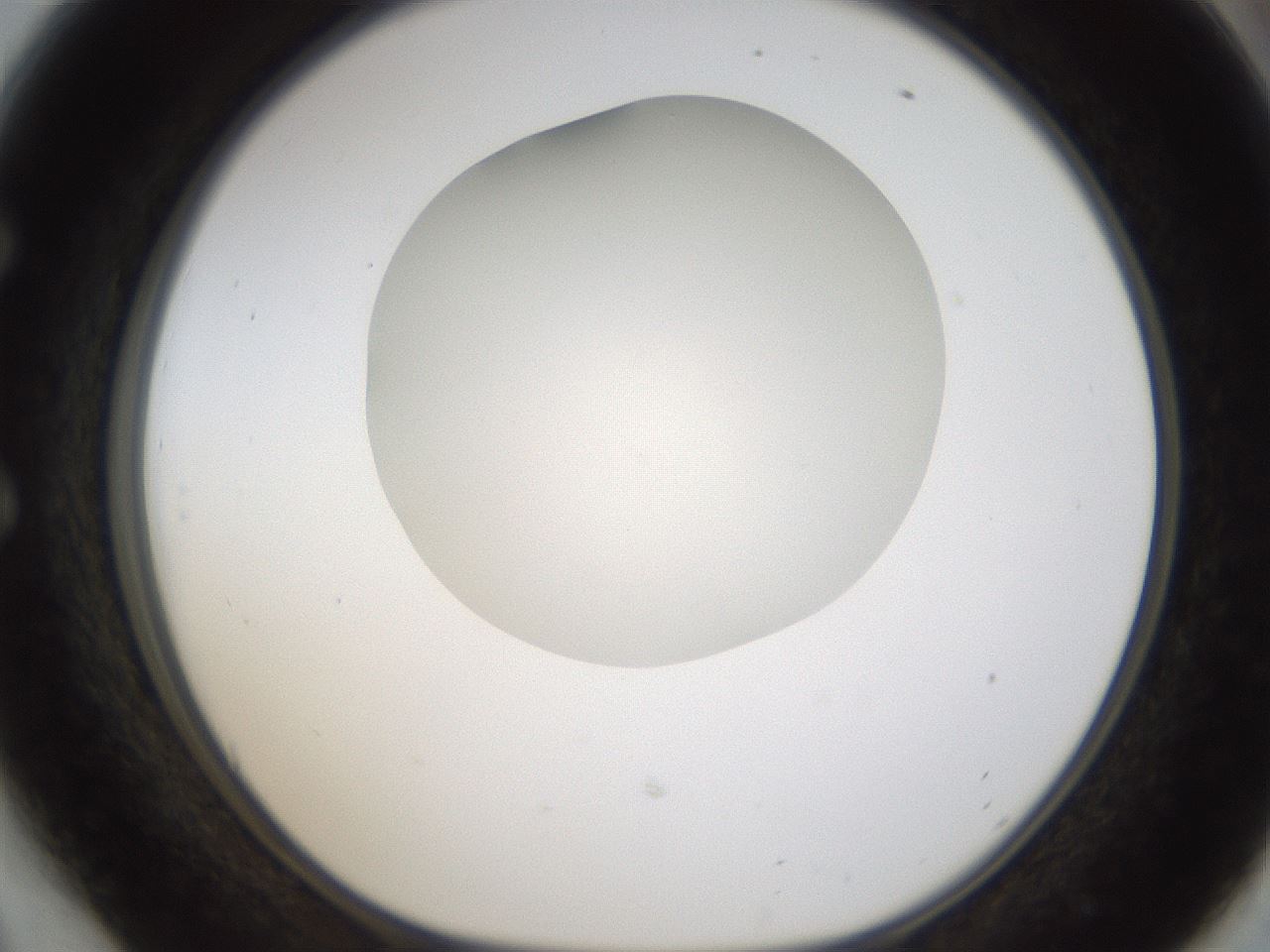 folderID330_plateID1330_batchID4525_wellNum54_profileID1_d1_r80221_ef.jpg