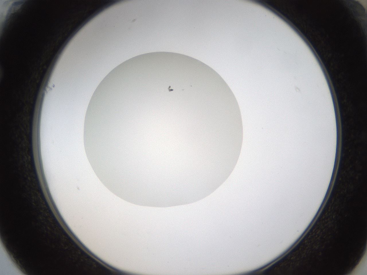 folderID330_plateID1330_batchID4525_wellNum61_profileID1_d1_r80228_ef.jpg