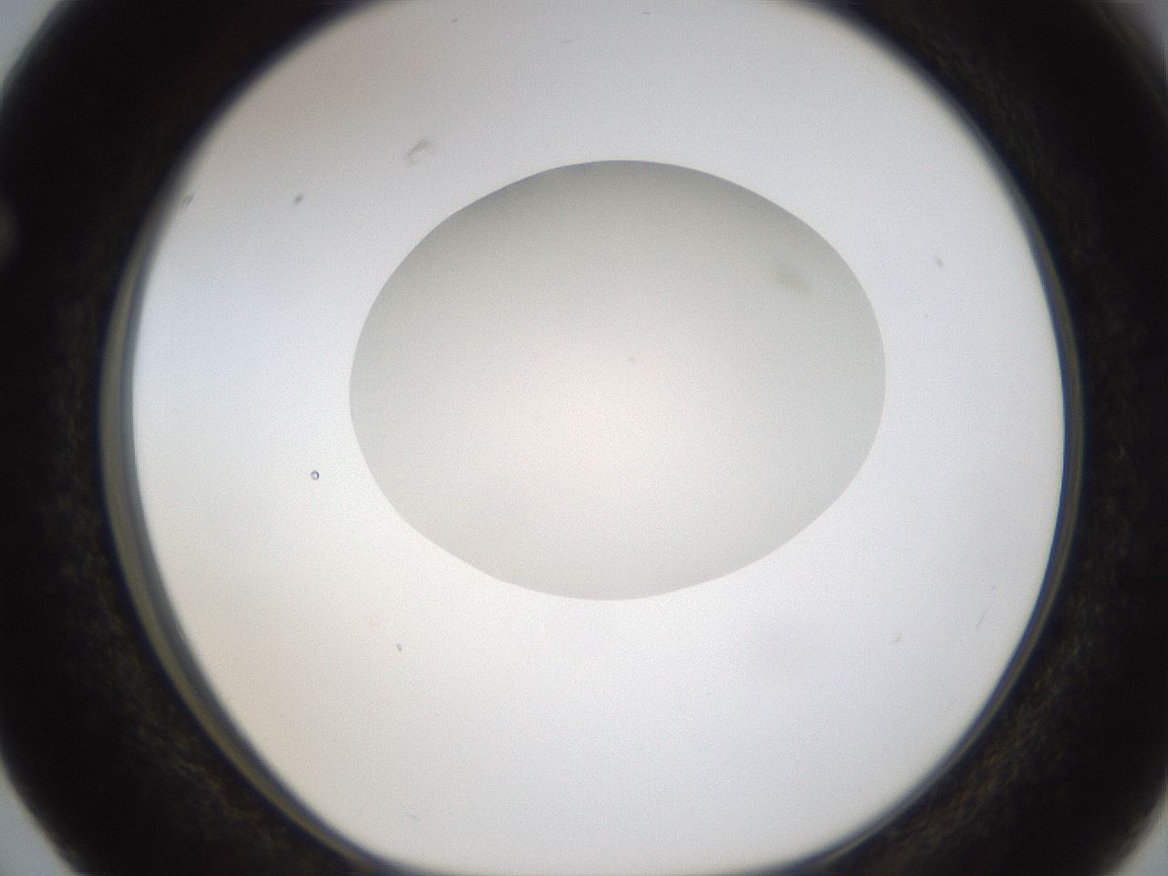 folderID330_plateID1330_batchID4525_wellNum63_profileID1_d1_r80230_ef.jpg