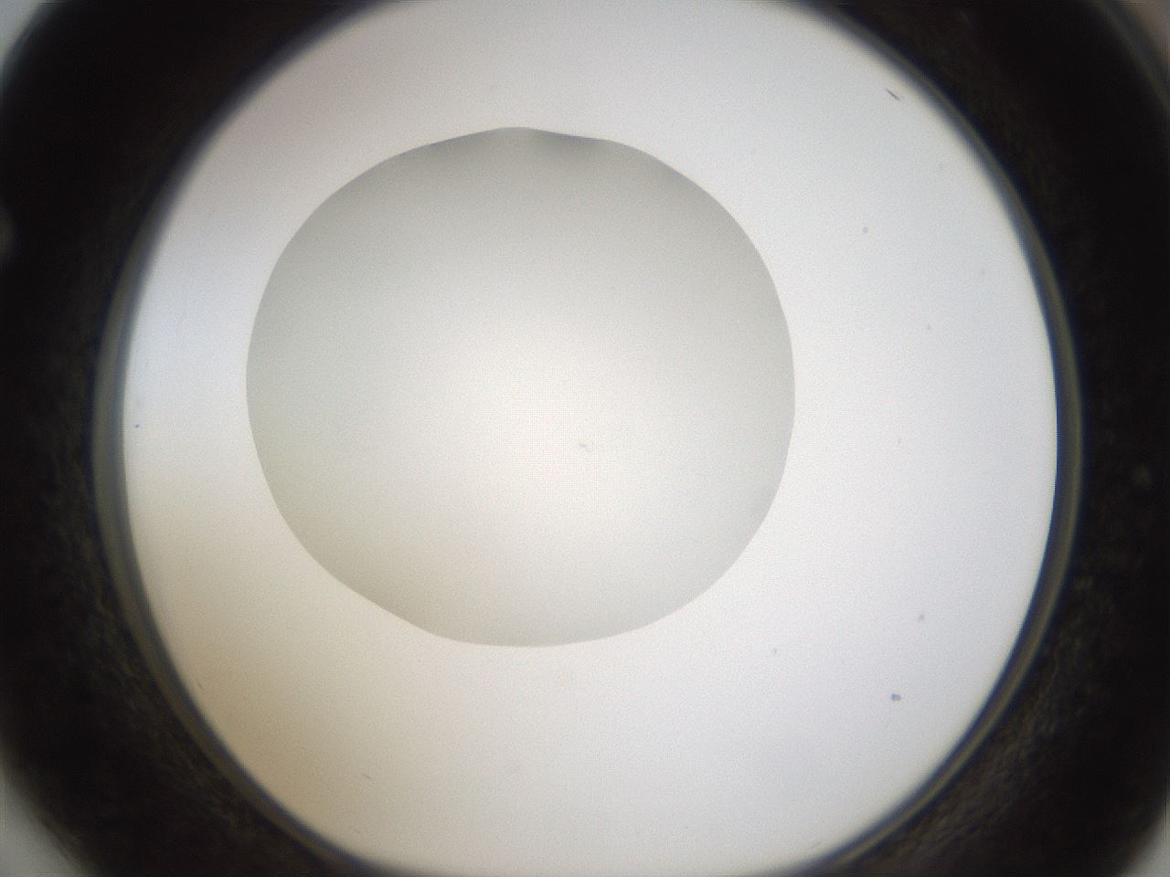 folderID330_plateID1330_batchID4525_wellNum64_profileID1_d1_r80231_ef.jpg