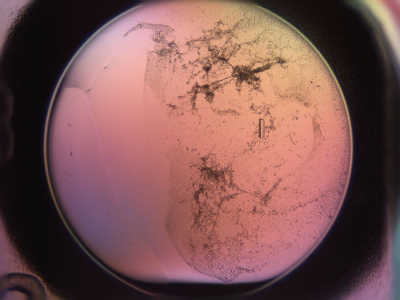 02kf_B12_ImagerDefaults_9.jpg