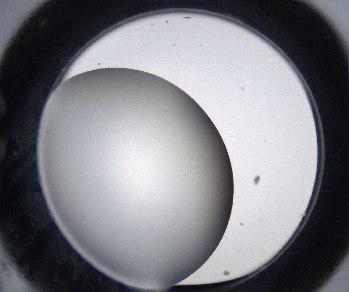 folderID330_plateID2330_batchID10983_wellNum32_profileID1_d1_r163778_ef.jpg