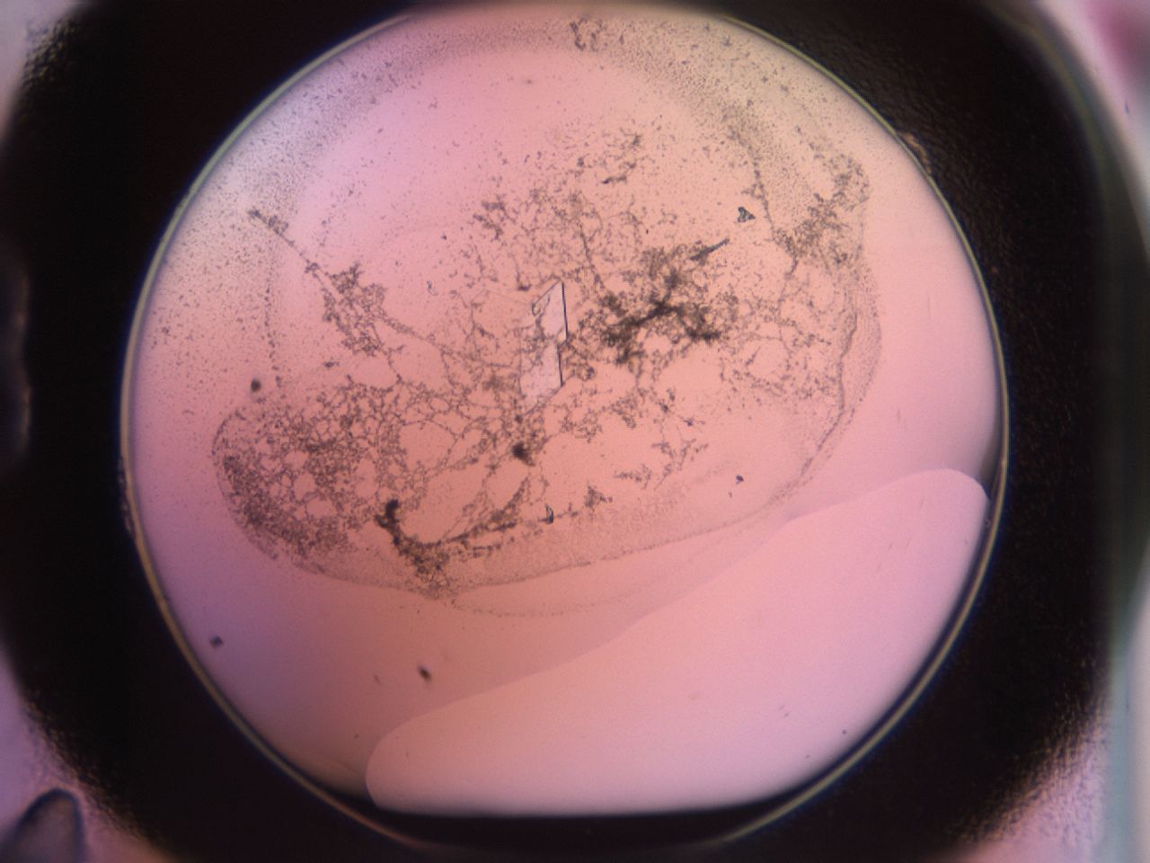 02kf_B11_ImagerDefaults_9.jpg