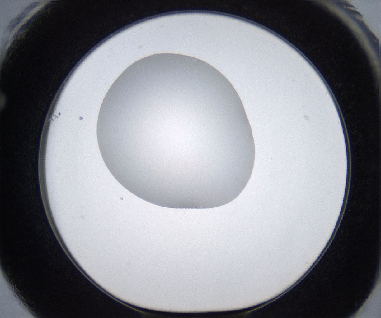 folderID330_plateID2330_batchID10983_wellNum61_profileID1_d1_r163807_ef.jpg