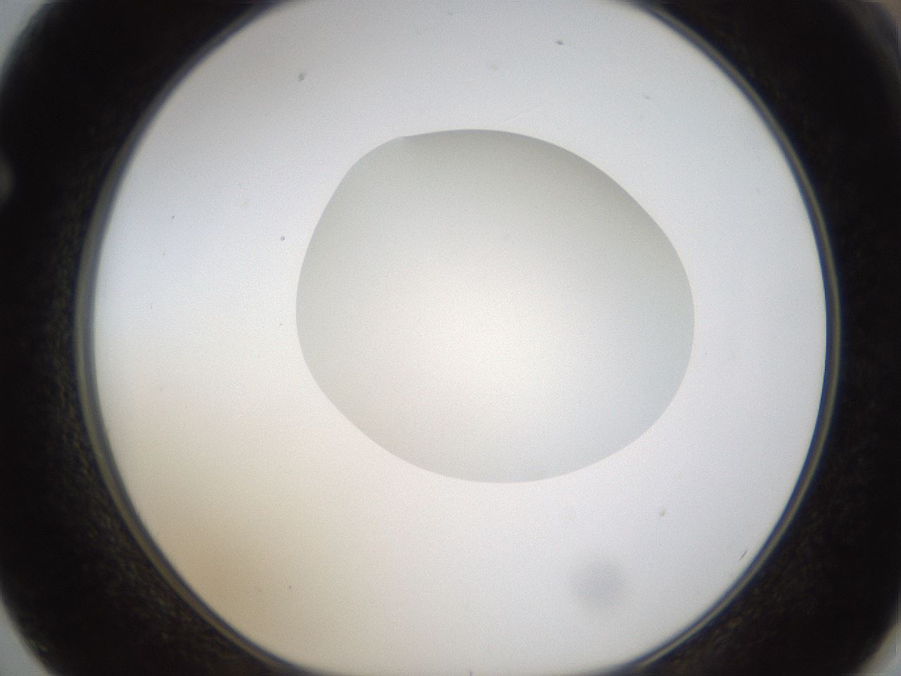 folderID330_plateID1330_batchID4525_wellNum62_profileID1_d1_r80229_ef.jpg