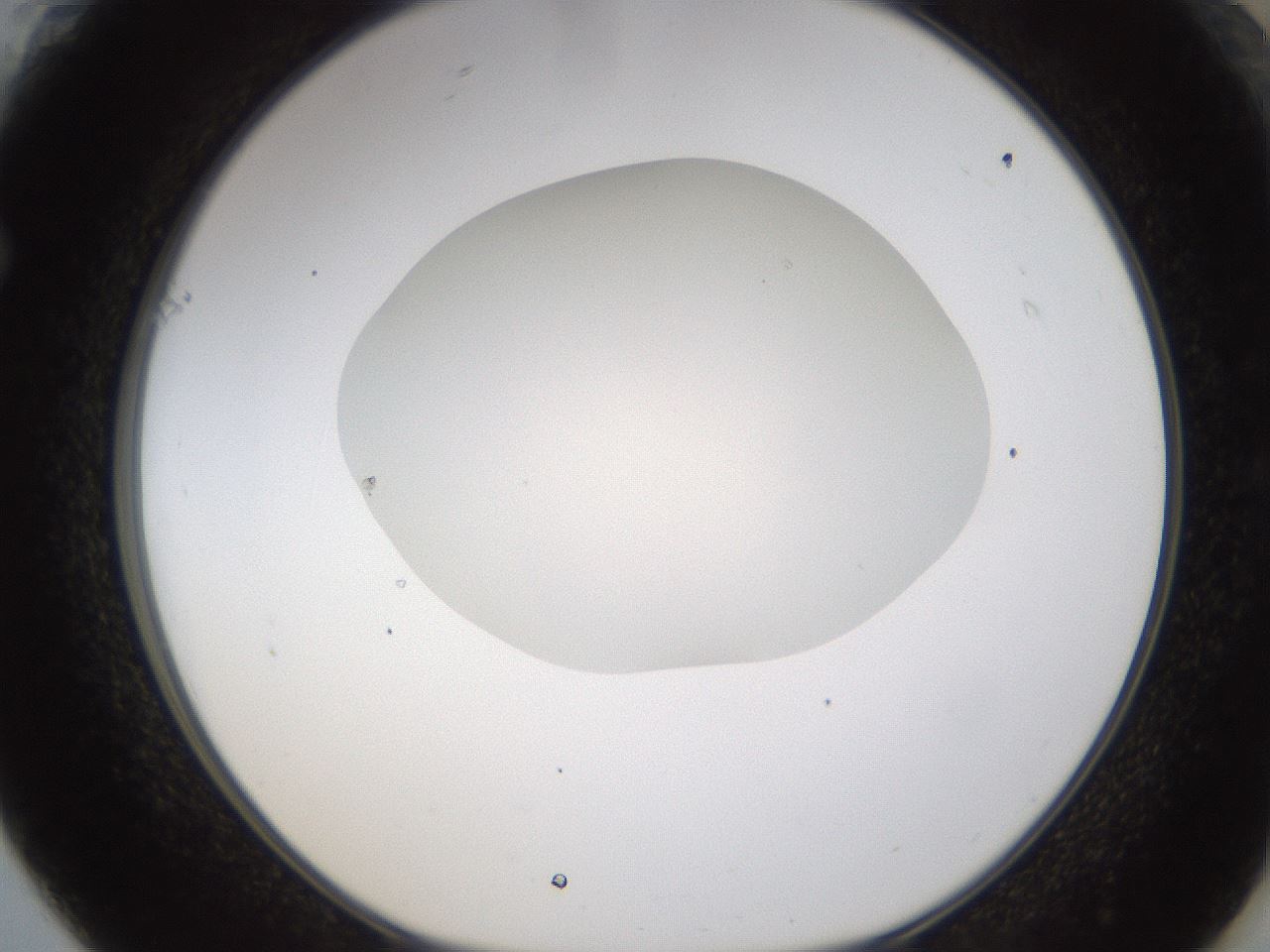 folderID331_plateID1331_batchID4527_wellNum61_profileID1_d1_r80420_ef.jpg