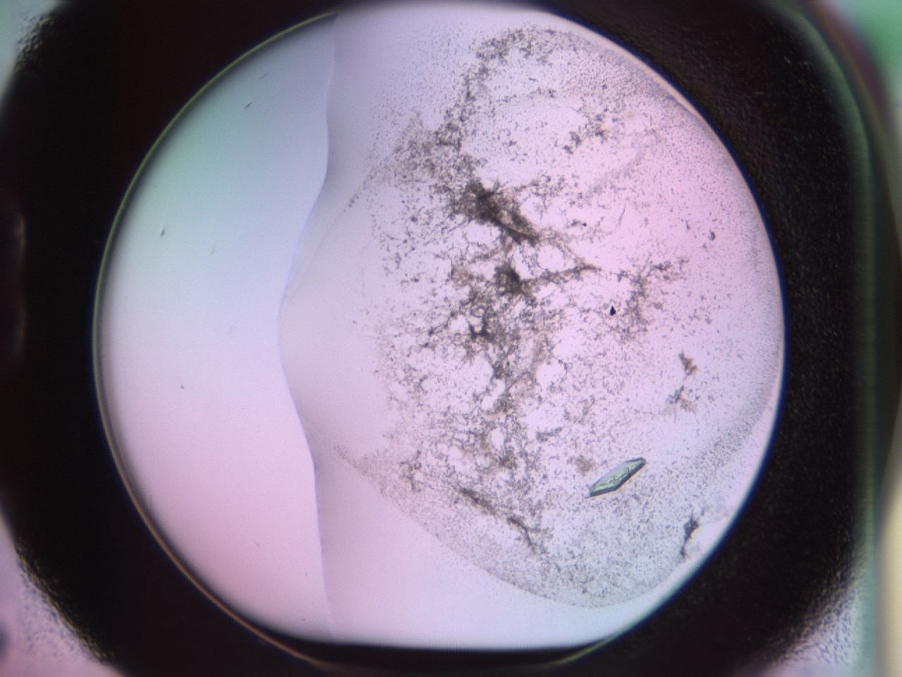 02kf_B5_ImagerDefaults_9.jpg