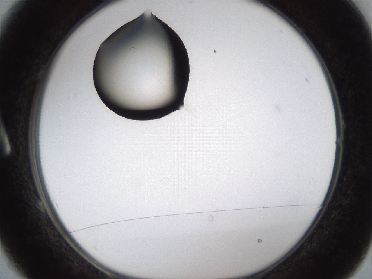 folderID331_plateID1331_batchID4527_wellNum1_profileID1_d1_r80360_ef.jpg