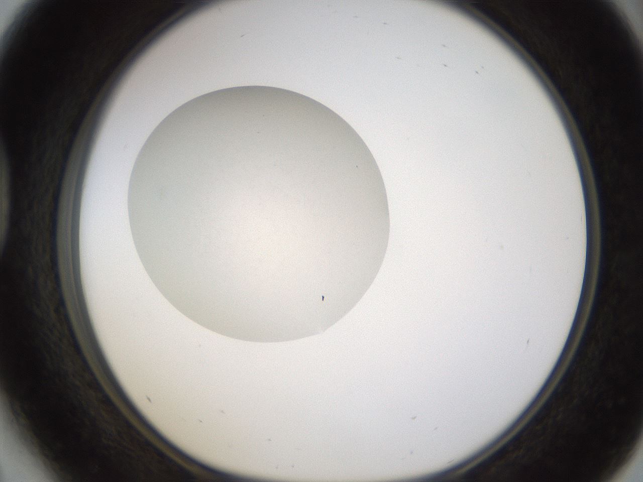 folderID331_plateID1331_batchID4527_wellNum41_profileID1_d1_r80400_ef.jpg
