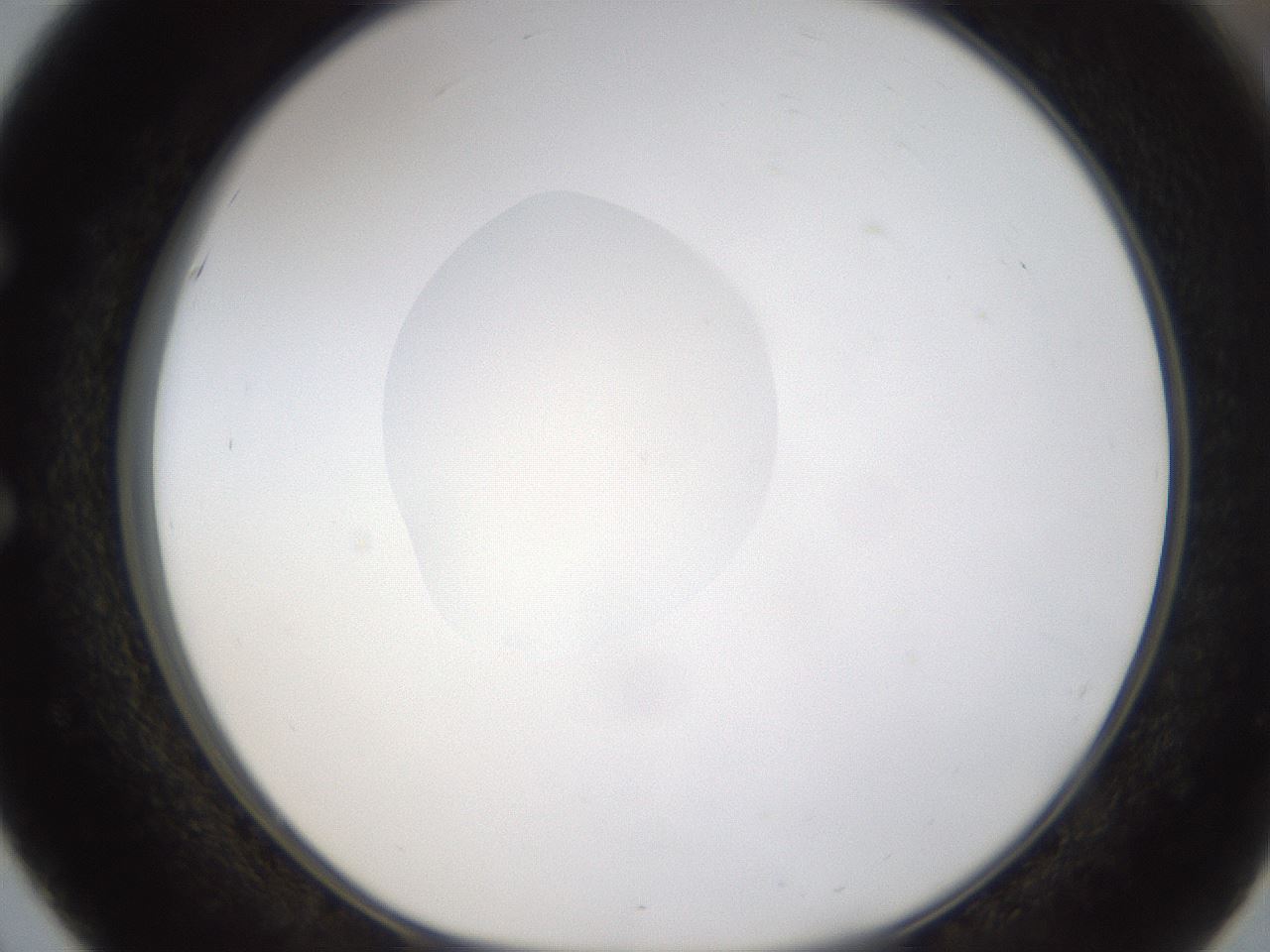 folderID331_plateID1331_batchID4527_wellNum51_profileID1_d1_r80410_ef.jpg