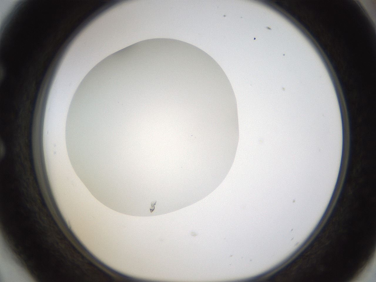 folderID331_plateID1331_batchID4527_wellNum54_profileID1_d1_r80413_ef.jpg