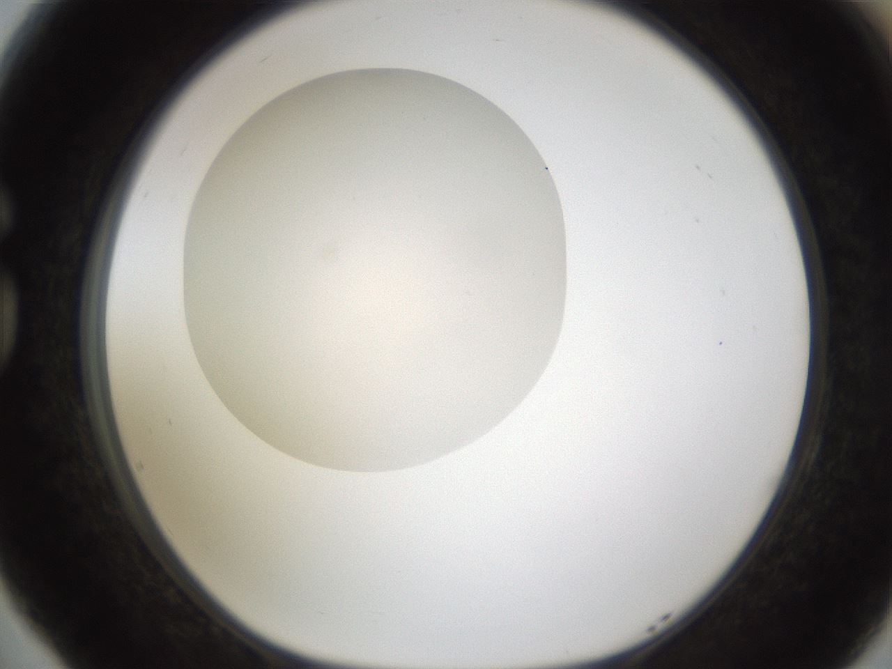 folderID331_plateID1331_batchID4527_wellNum77_profileID1_d1_r80436_ef.jpg