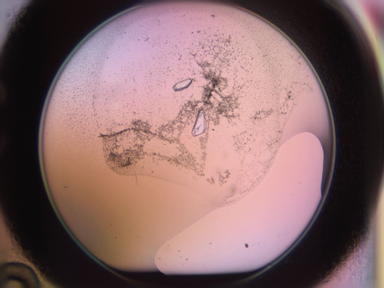 02kf_C10_ImagerDefaults_9.jpg