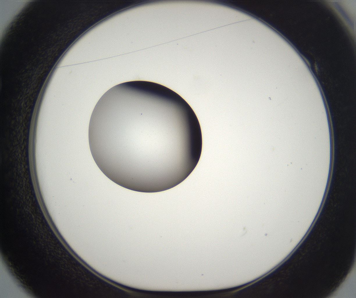 folderID331_plateID2331_batchID11001_wellNum49_profileID1_d1_r164563_ef.jpg
