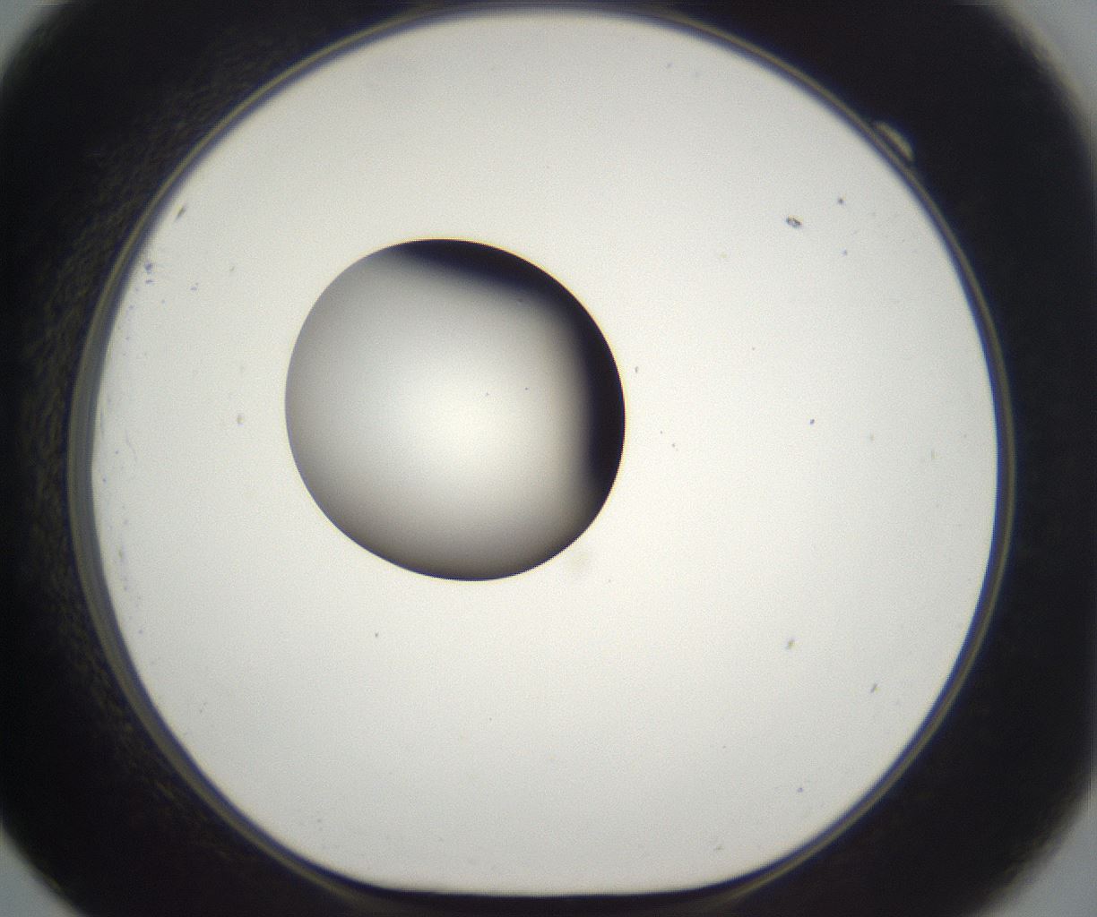 folderID331_plateID2331_batchID11001_wellNum69_profileID1_d1_r164583_ef.jpg