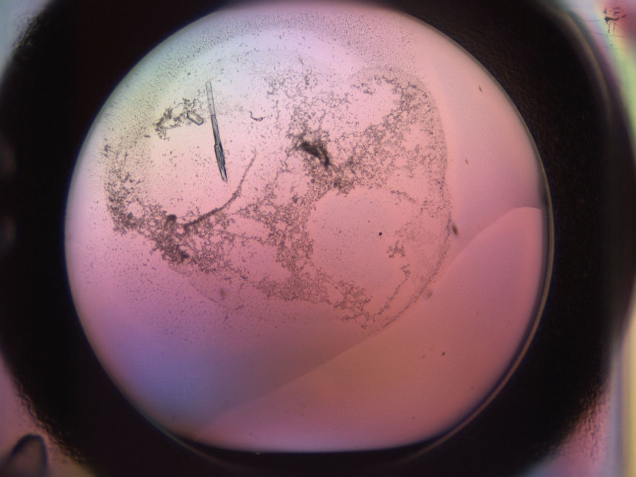 02kf_C11_ImagerDefaults_9.jpg