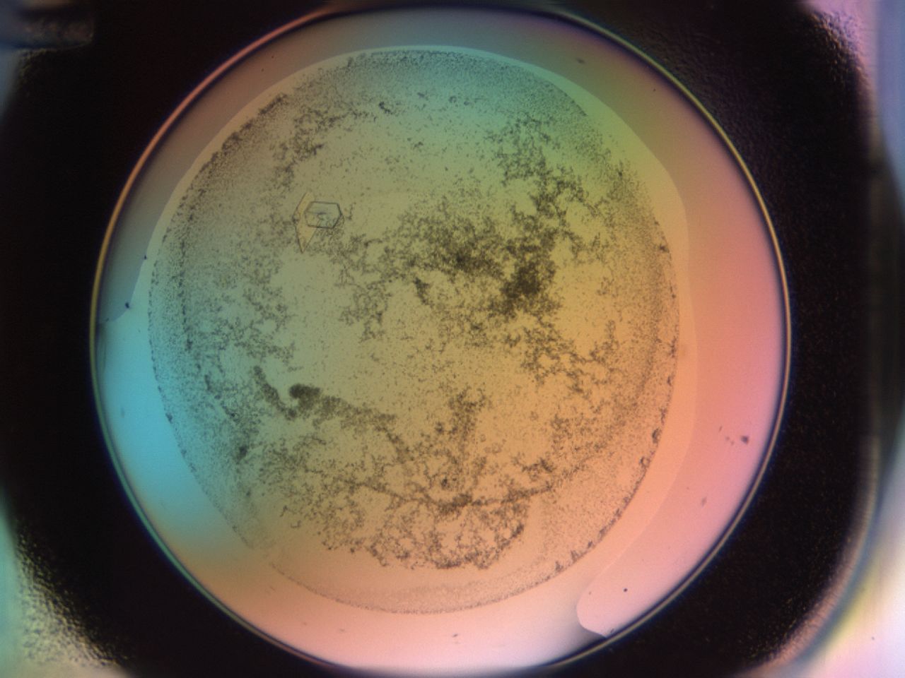 02kf_C12_ImagerDefaults_9.jpg