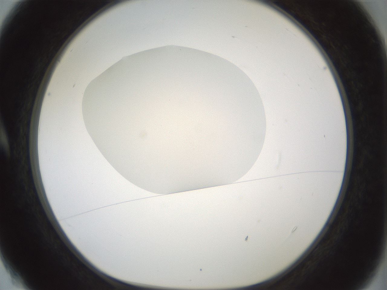 folderID333_plateID1333_batchID4528_wellNum4_profileID1_d1_r80459_ef.jpg