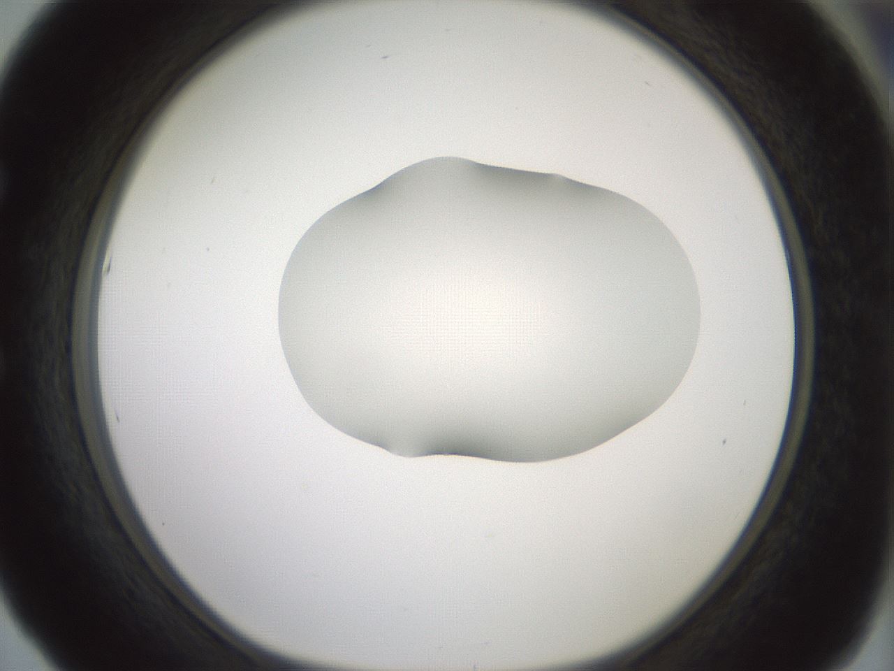 folderID335_plateID1335_batchID4522_wellNum53_profileID1_d1_r79932_ef.jpg