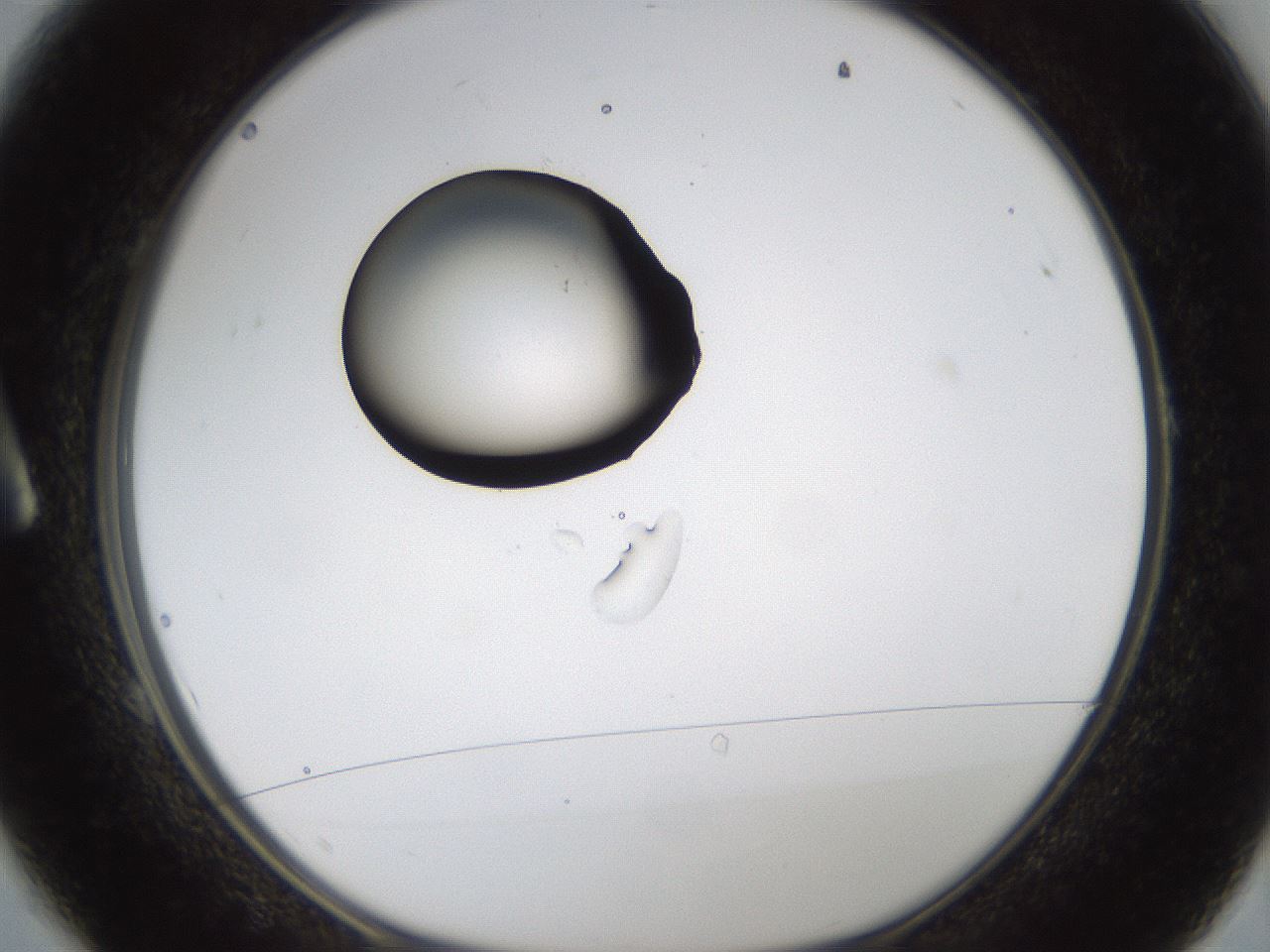 folderID334_plateID1334_batchID4521_wellNum1_profileID1_d1_r79784_ef.jpg