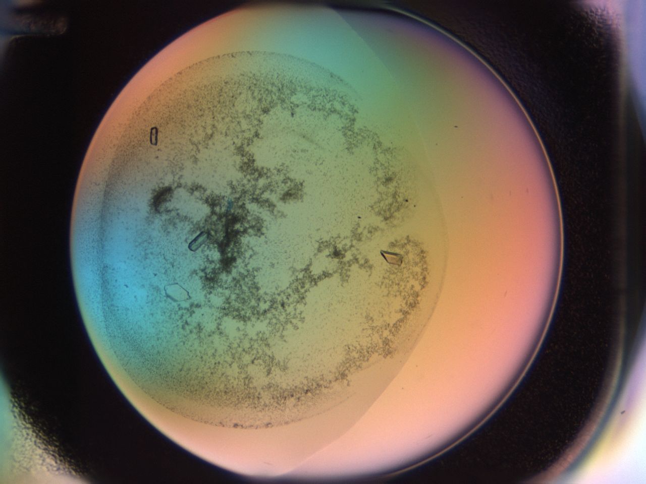 02kf_D12_ImagerDefaults_9.jpg