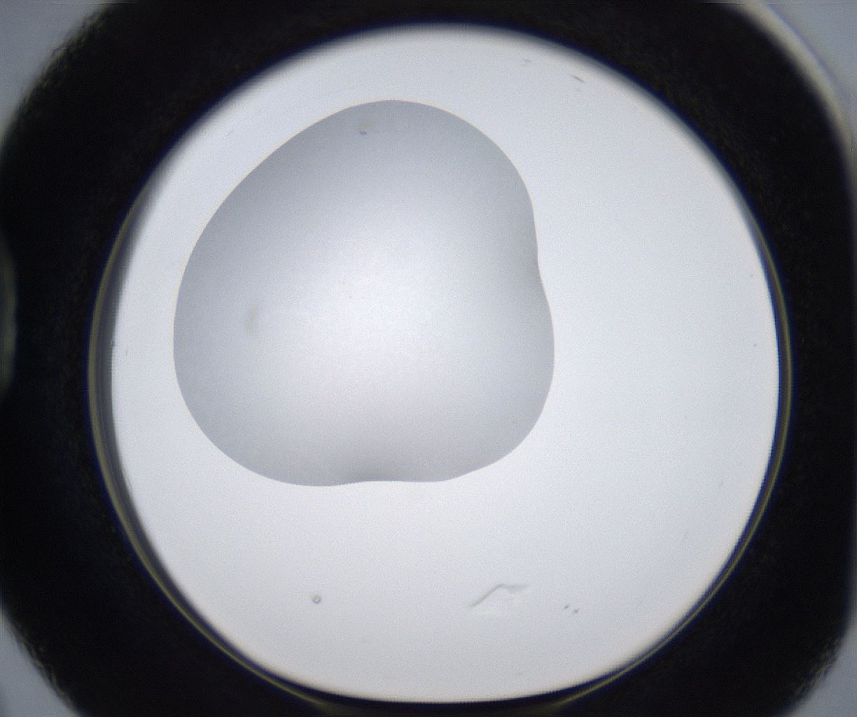 folderID334_plateID2334_batchID10990_wellNum38_profileID1_d1_r163976_ef.jpg