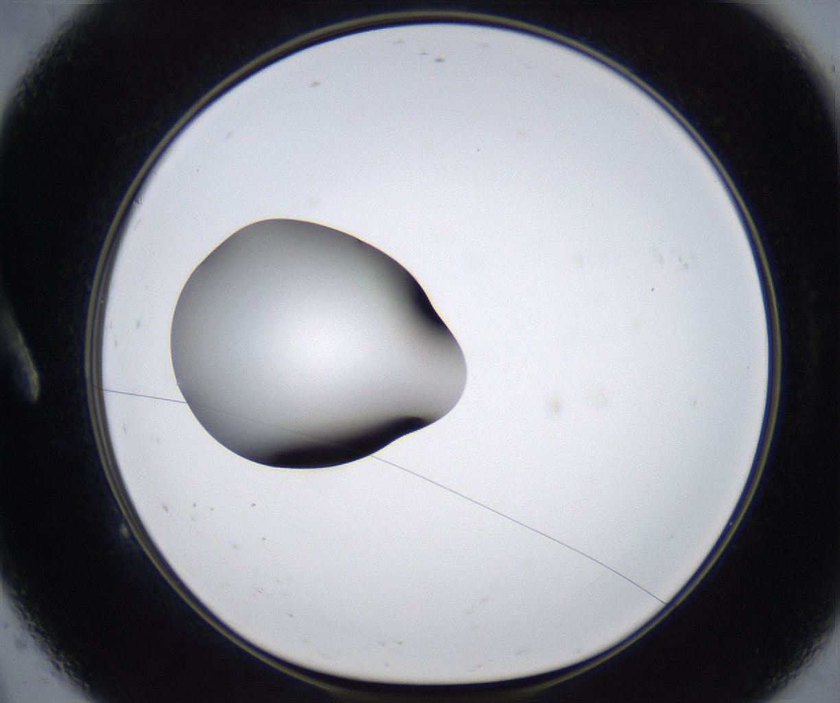 folderID334_plateID2334_batchID10990_wellNum9_profileID1_d1_r163947_ef.jpg