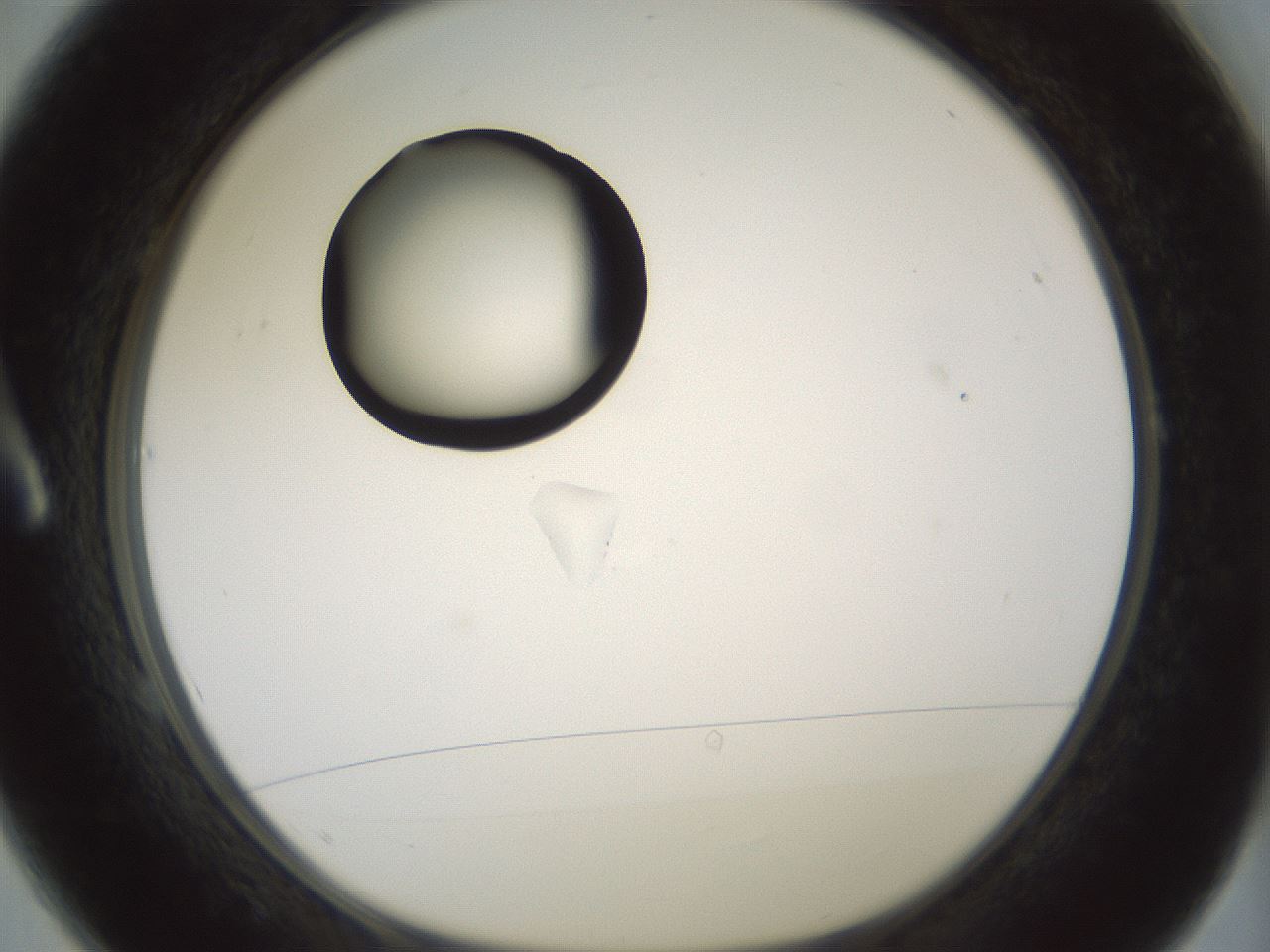 folderID335_plateID1335_batchID4522_wellNum1_profileID1_d1_r79880_ef.jpg