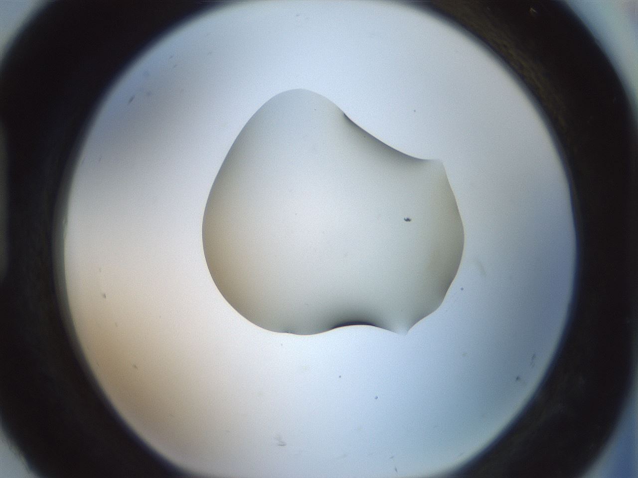 folderID335_plateID1335_batchID4522_wellNum92_profileID1_d1_r79971_ef.jpg