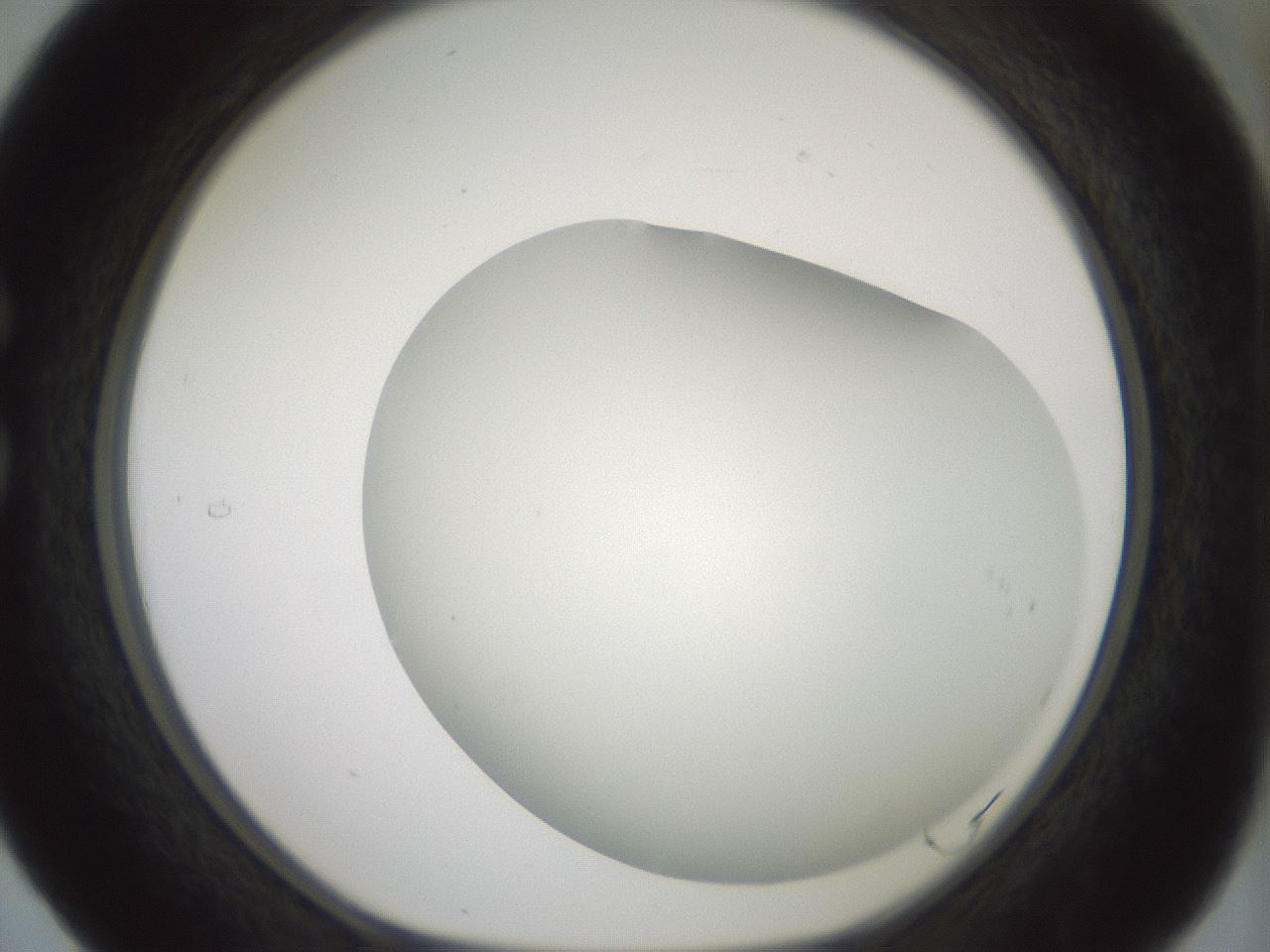 folderID338_plateID1338_batchID4570_wellNum29_profileID1_d1_r80616_ef.jpg