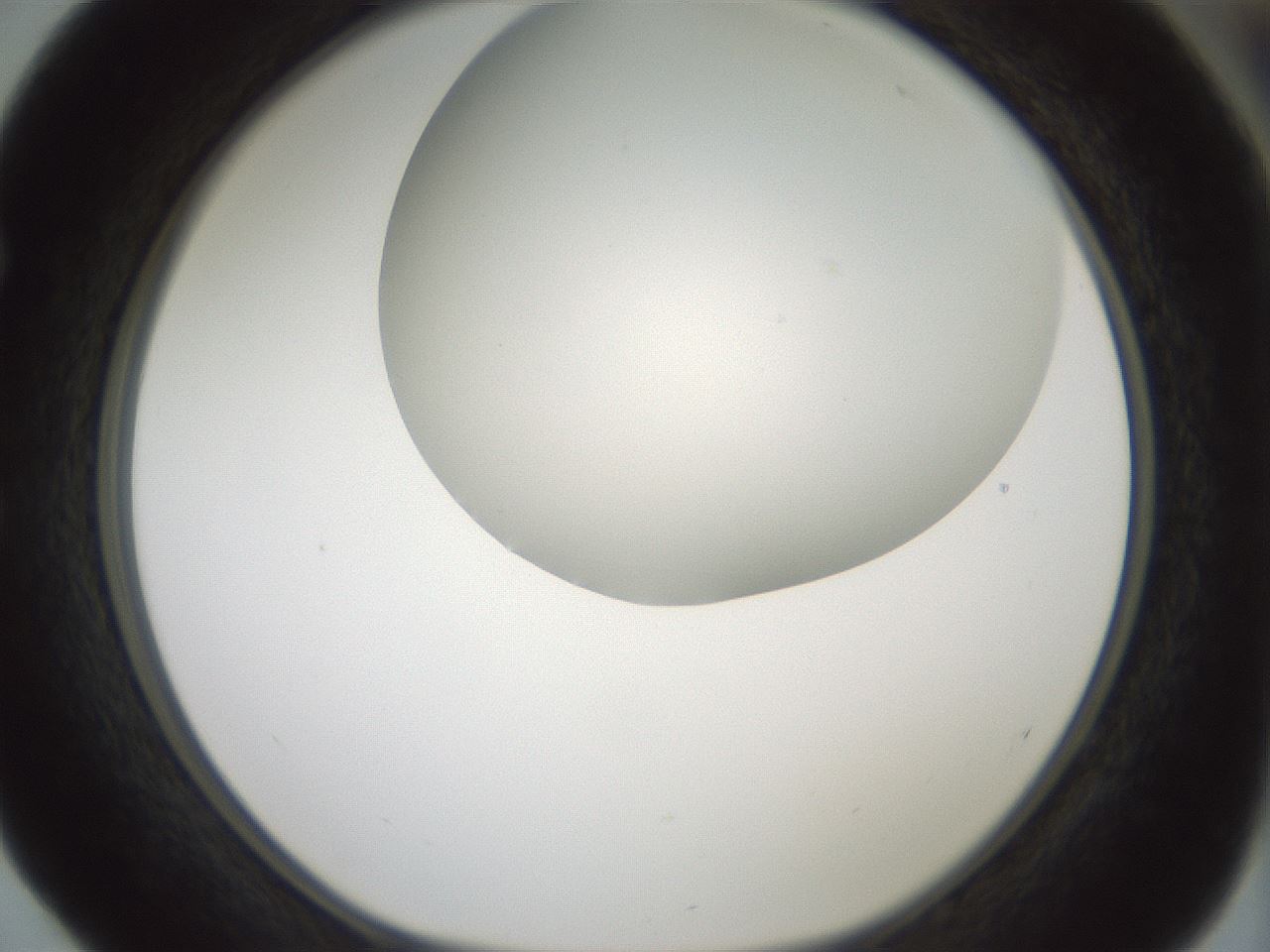 folderID338_plateID1338_batchID4570_wellNum52_profileID1_d1_r80627_ef.jpg