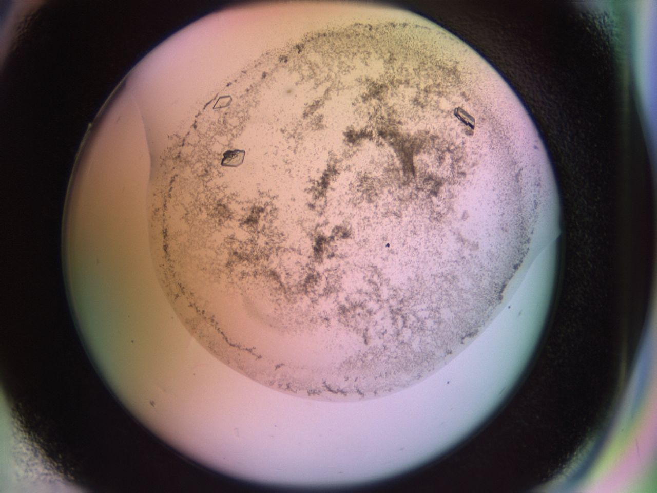 02kf_D6_ImagerDefaults_9.jpg