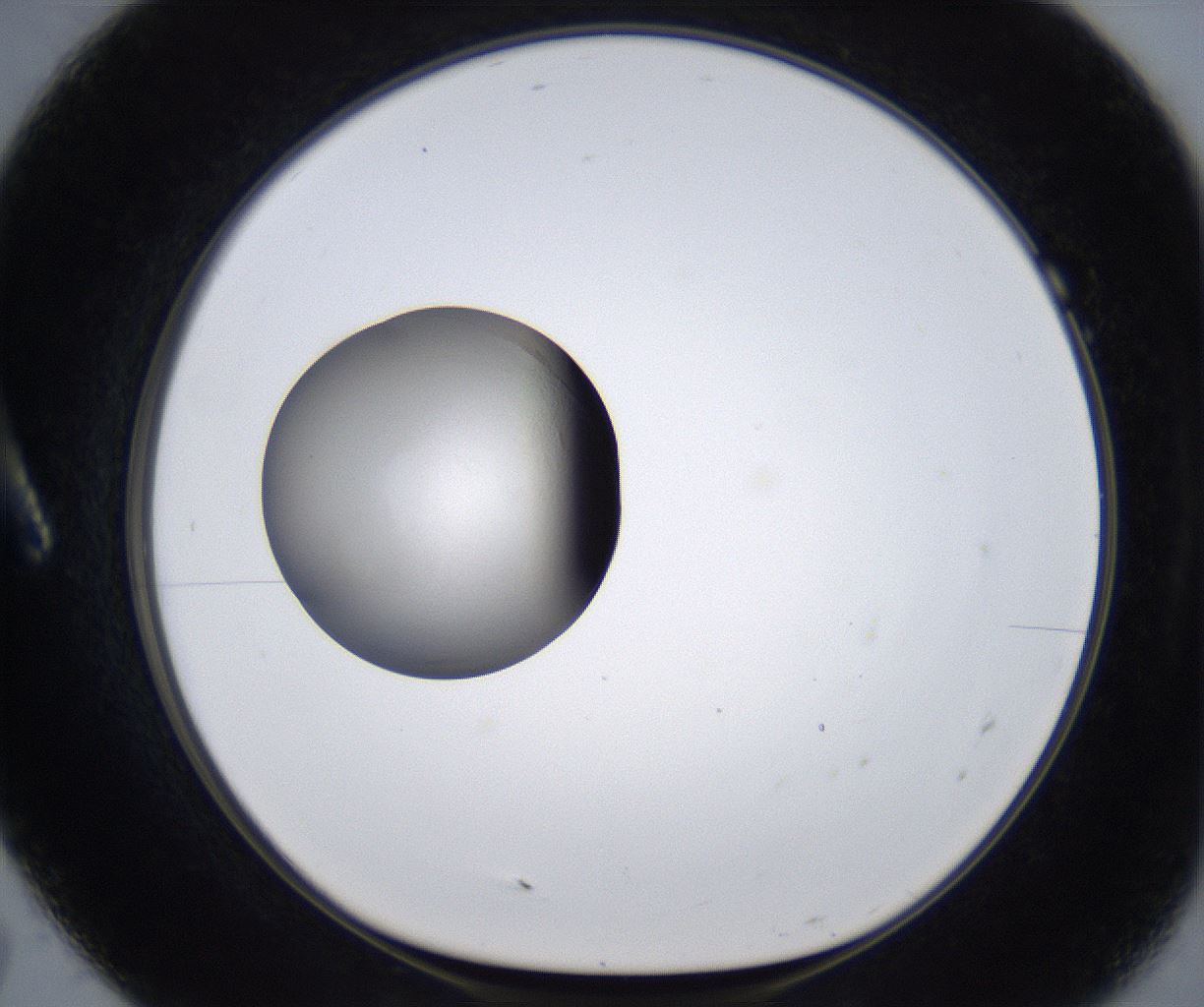 folderID338_plateID2338_batchID10997_wellNum7_profileID1_d1_r164233_ef.jpg
