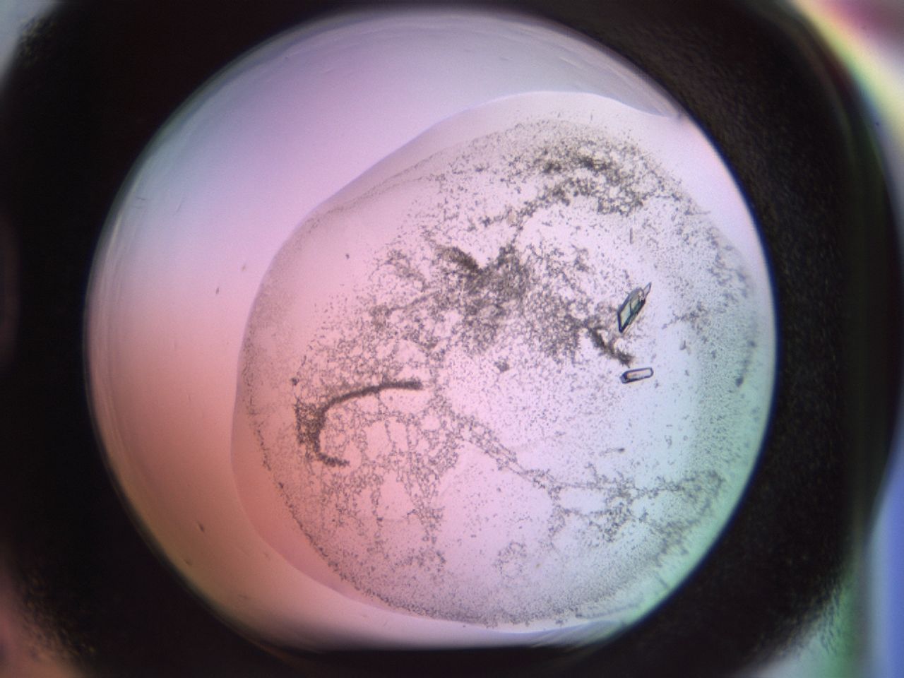 02kf_D5_ImagerDefaults_9.jpg