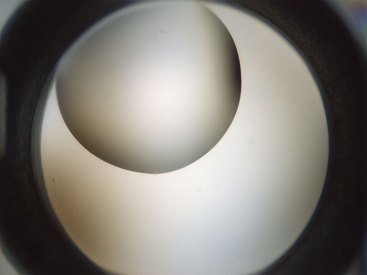 folderID338_plateID1338_batchID4570_wellNum89_profileID1_d1_r80646_ef.jpg