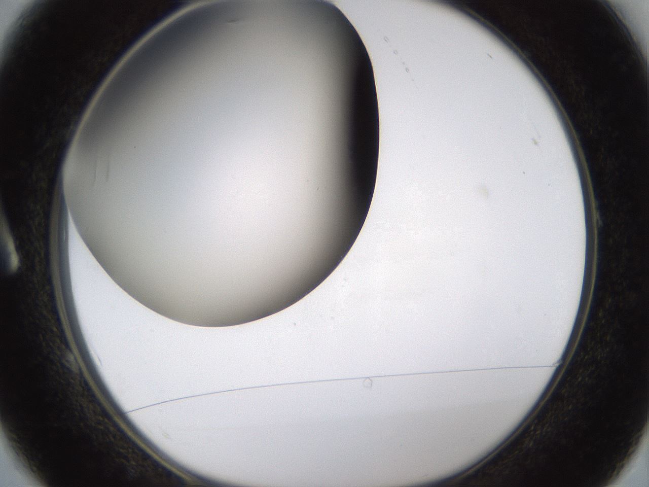 folderID339_plateID1339_batchID4571_wellNum1_profileID1_d1_r80552_ef.jpg