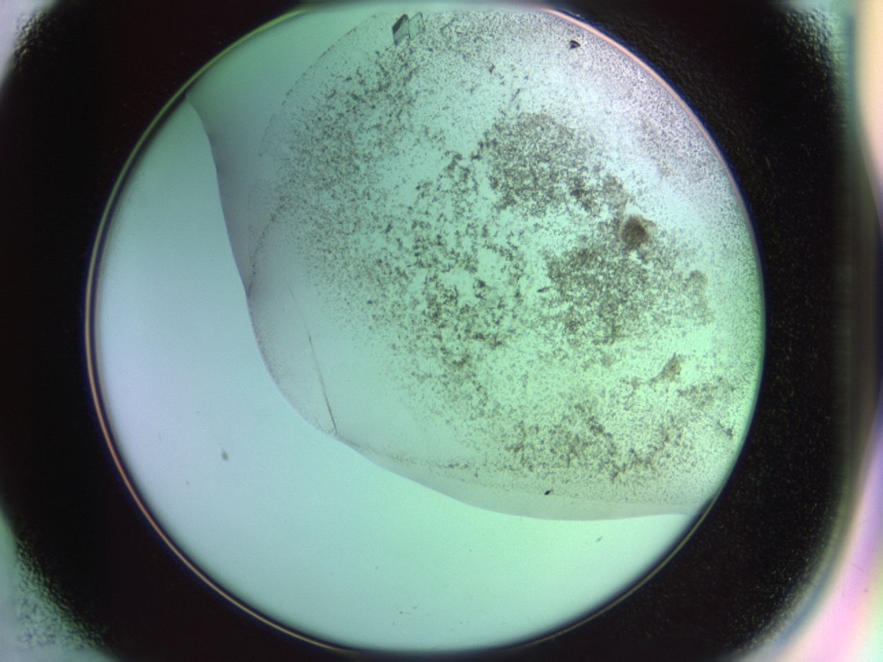 02kf_B1_ImagerDefaults_9.jpg