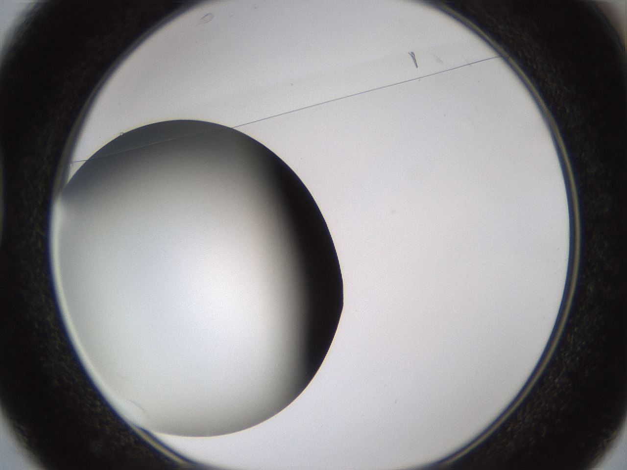 folderID339_plateID1339_batchID4571_wellNum37_profileID1_d1_r80570_ef.jpg