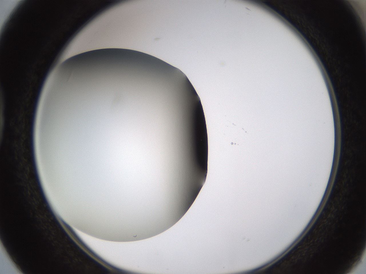 folderID339_plateID1339_batchID4571_wellNum38_profileID1_d1_r80571_ef.jpg